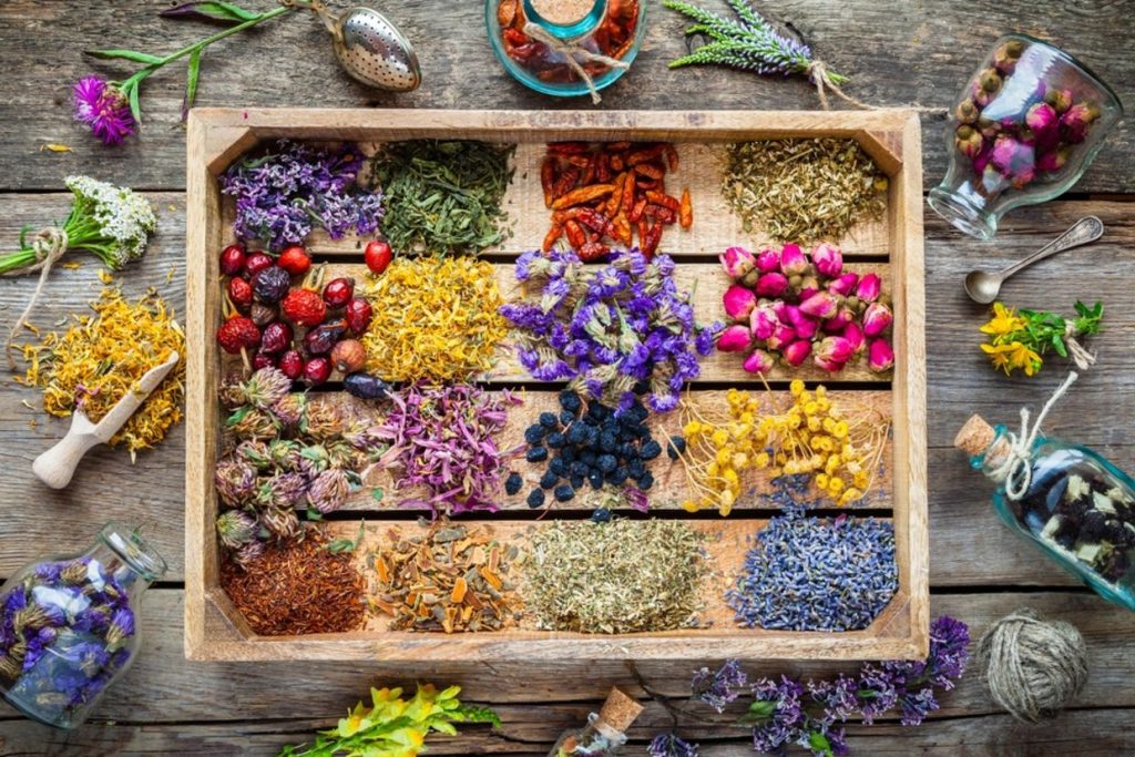گیاهان دارویی چیست و چه خواصی دارند