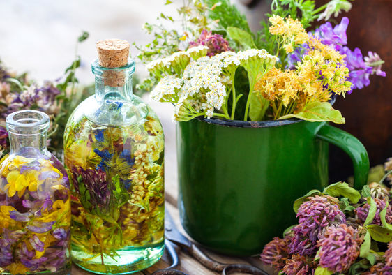 گیاهان دارویی چیست و چه کاربردی دارند
